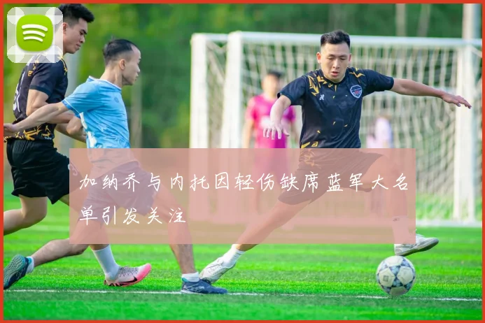加纳乔与内托因轻伤缺席蓝军大名单引发关注